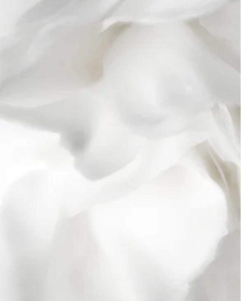 Bioactive Prebiotics Jelly Serum