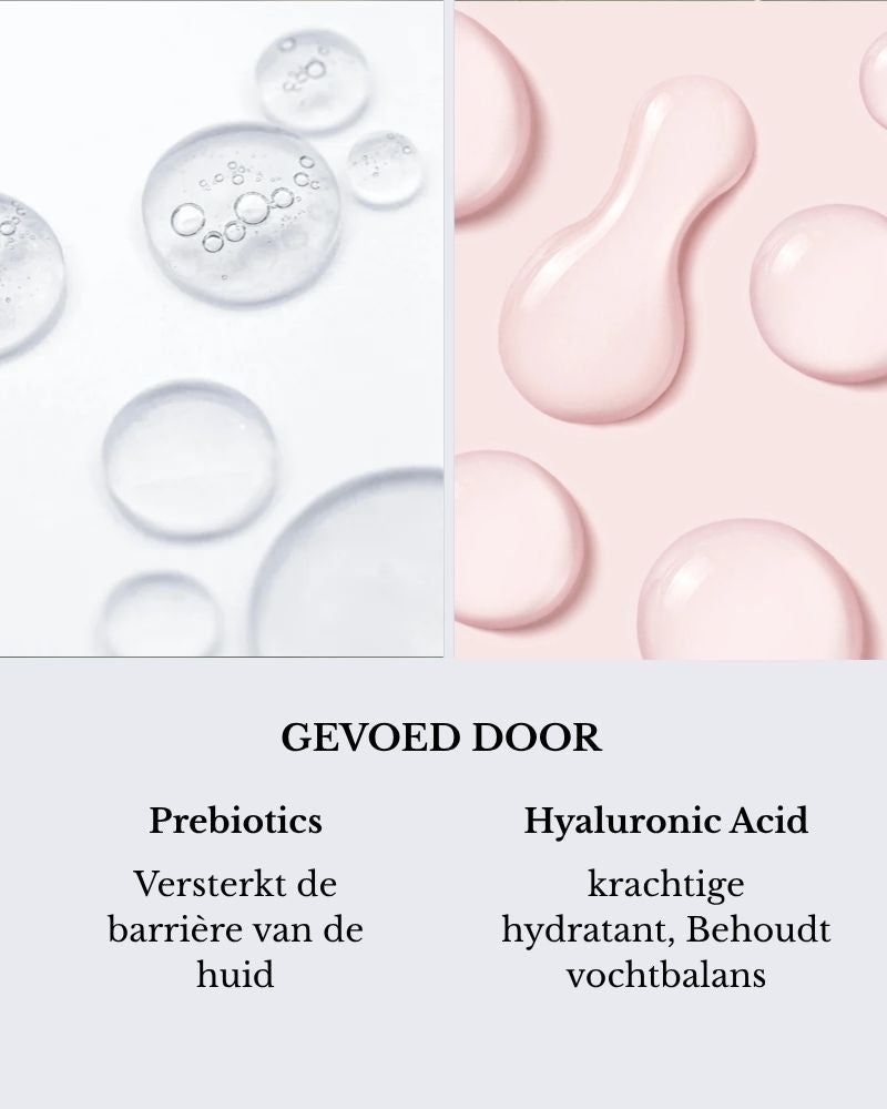 Bioactive Prebiotics Jelly Serum