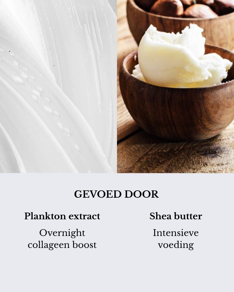 Collagen Anti-Age Night Cream