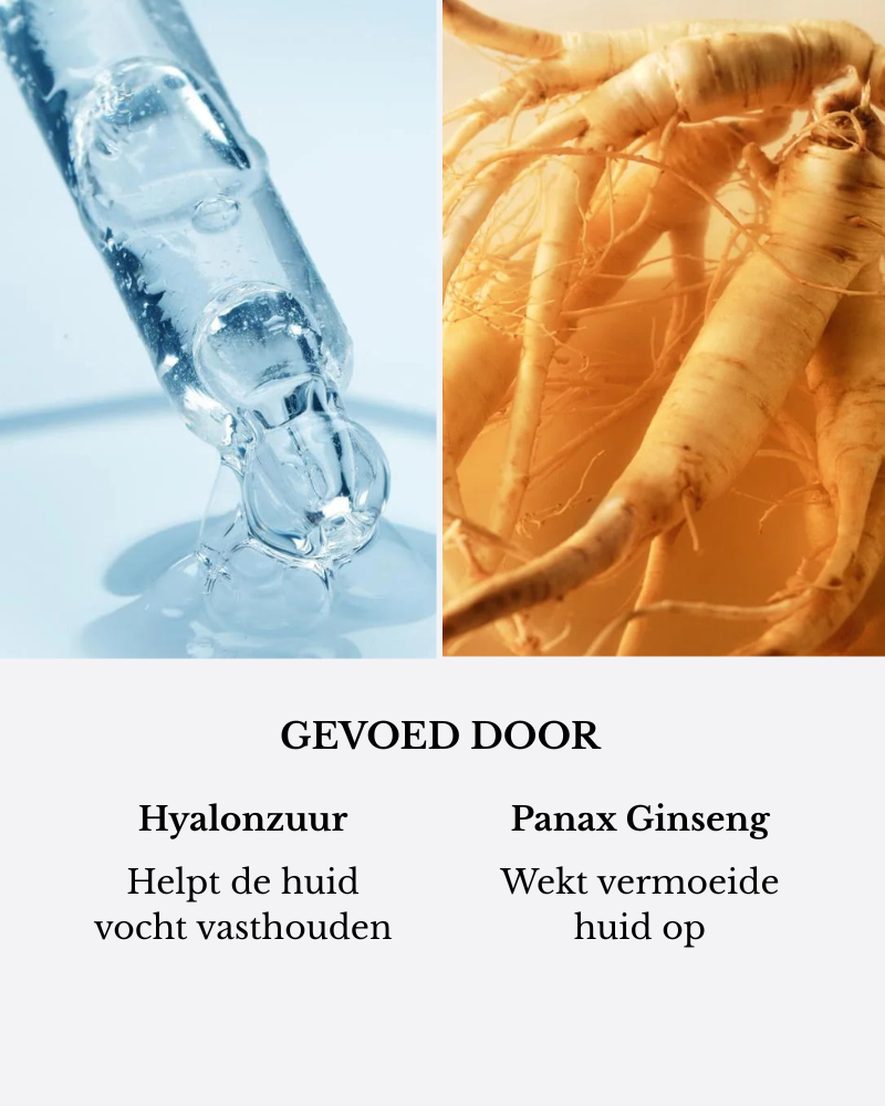 Ginzing Rich Cream 30ml
