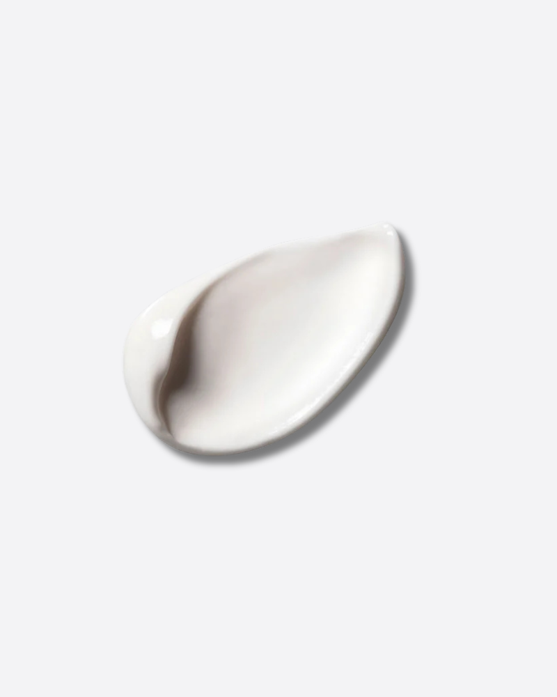 Day Cream Payot Lisse